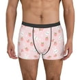thumbnail image 1 of Picia Rabbit And Peach Pattern Men’s Boxer Briefs – Soft & Breathable Underwear, Stretchy & Comfortable Fit, Supportive Pouch Design, Moisture-Wicking-Small, 1 of 5