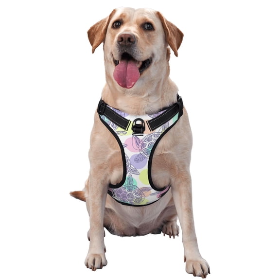 Picia Sea Turtles No-Pull Dog Harness Reflective Front Clip Vest with Handle,Step-in Air Dog Harness,Adjustable 2 Metal Rings 4 Buckles,Easy to Put on & Take Off Small