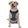 thumbnail image 1 of Picia Shark No-Pull Dog Harness Reflective Front Clip Vest with Handle,Step-in Air Dog Harness,Adjustable 2 Metal Rings 4 Buckles,Easy to Put on & Take Off Medium, 1 of 9