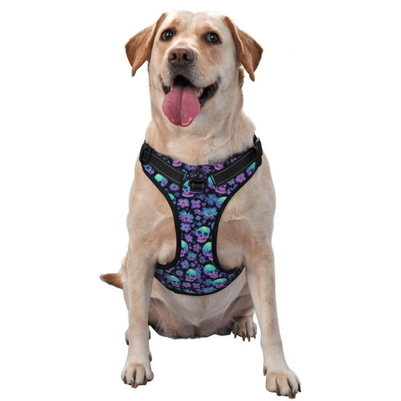 Picia Skull daisy Gradient No-Pull Dog Harness Reflective Front Clip Vest with Handle,Step-in Air Dog Harness,Adjustable 2 Metal Rings 4 Buckles,Easy to Put on & Take Off Small