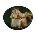 thumbnail image 1 of Picia Squirrels Eating Peanuts On The Tree Pattern Round Stool Covers Comfy Seat Covers Stretch Removable Washable Chair Slipcover Round Bar Chair Cushion Cover-12 inch, 1 of 7
