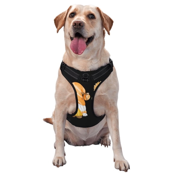 Picia Sunflower Gnomes 5 No-Pull Dog Harness Reflective Front Clip Vest with Handle,Step-in Air Dog Harness,Adjustable 2 Metal Rings 4 Buckles,Easy to Put on & Take Off Medium