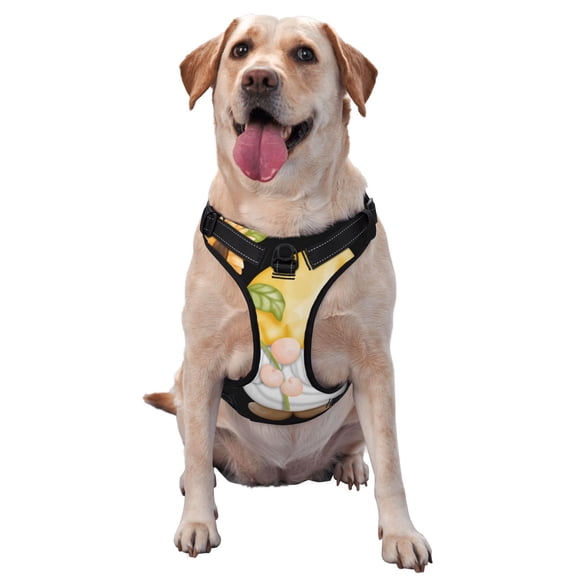 Picia Sunflower Gnomes5 No-Pull Dog Harness Reflective Front Clip Vest with Handle,Step-in Air Dog Harness,Adjustable 2 Metal Rings 4 Buckles,Easy to Put on & Take Off Large