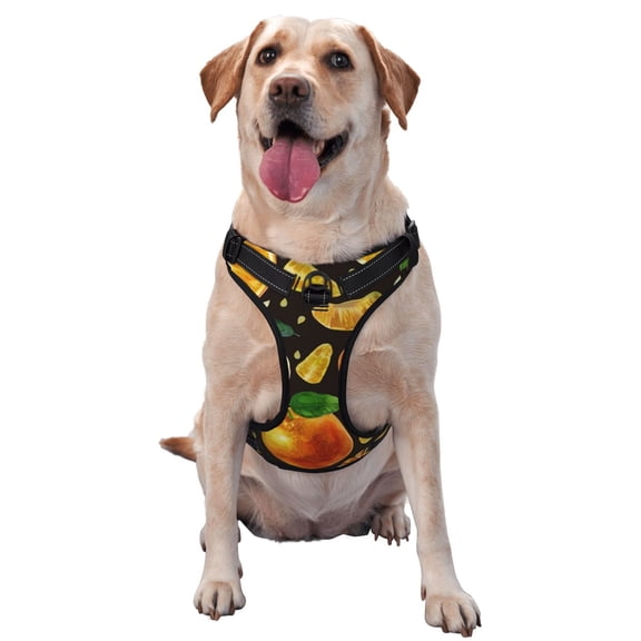 Picia Tangerine No-Pull Dog Harness Reflective Front Clip Vest with Handle,Step-in Air Dog Harness,Adjustable 2 Metal Rings 4 Buckles,Easy to Put on & Take Off Medium