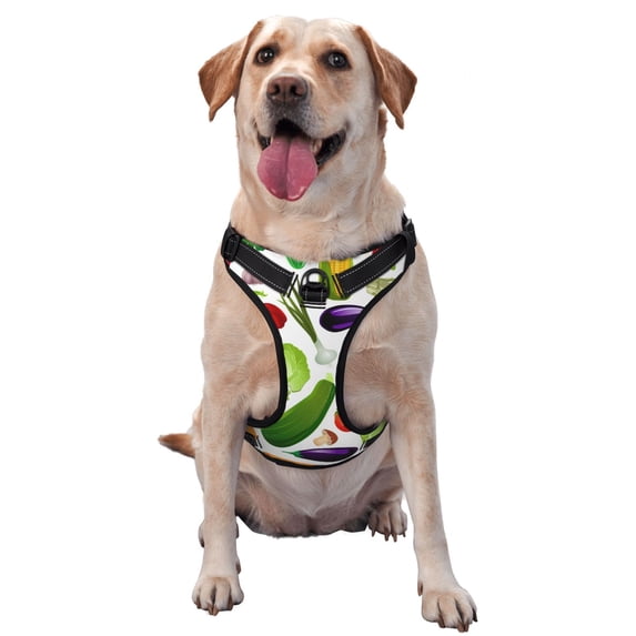 Picia Vegetables2 No-Pull Dog Harness Reflective Front Clip Vest with Handle,Step-in Air Dog Harness,Adjustable 2 Metal Rings 4 Buckles,Easy to Put on & Take Off Medium