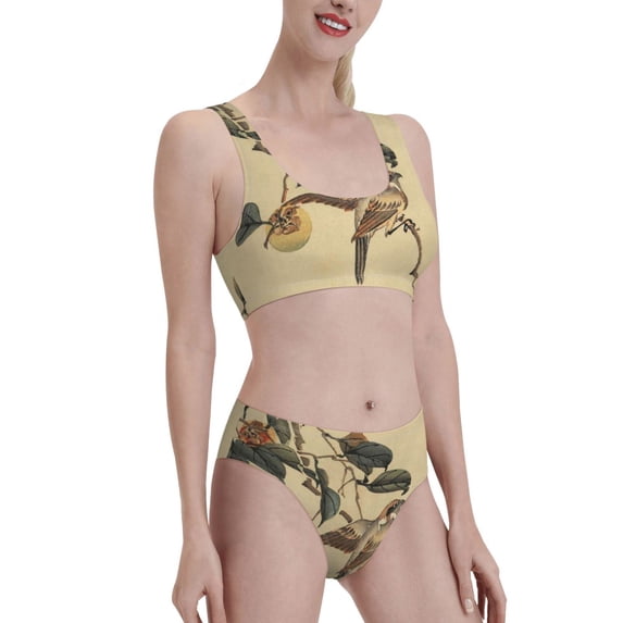 Picia Vintage Bird Women's High Waisted Bikini Scoop Neck Swimsuit Two Pieces Bathing Suit-XX-Large