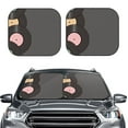 Picia Vinyl Records 2 Piece Car Windshield Sun Shade Foldable