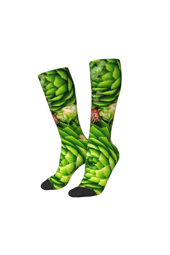 Women Crew Soft Moisture-wicking Socks Cactus And Succulents Pattern Design Cotton Socks, One Size fit All