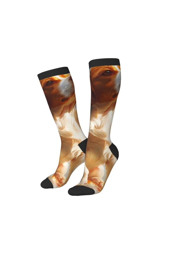 Women Crew Soft Moisture-wicking Socks Rainbow English Cocker Spaniel Pattern Design Cotton Socks, One Size fit All