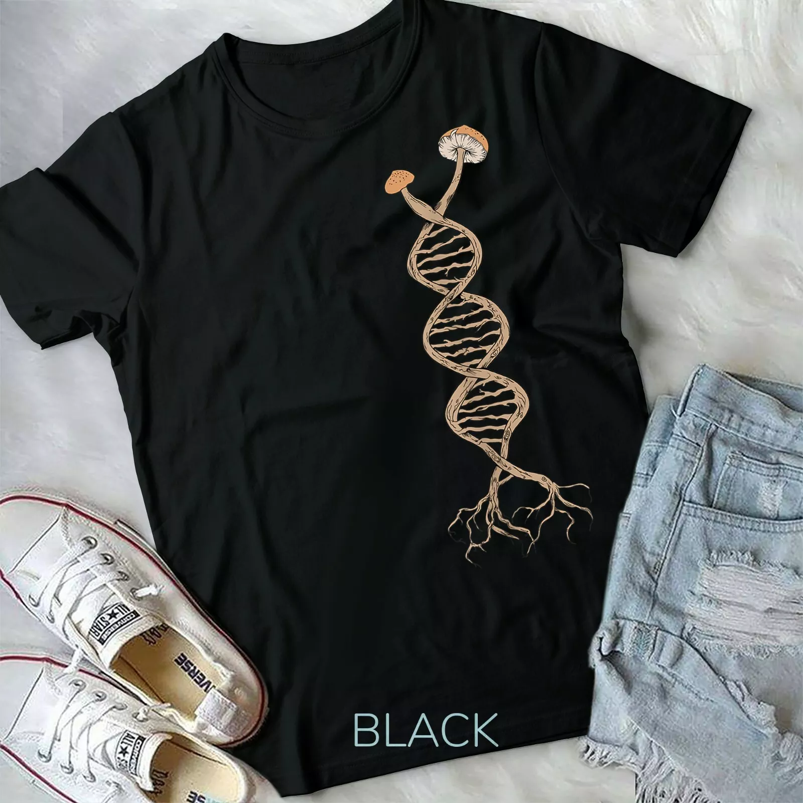 Guida Funghi Paese Basco - Esplora La Micologia - Foto 7