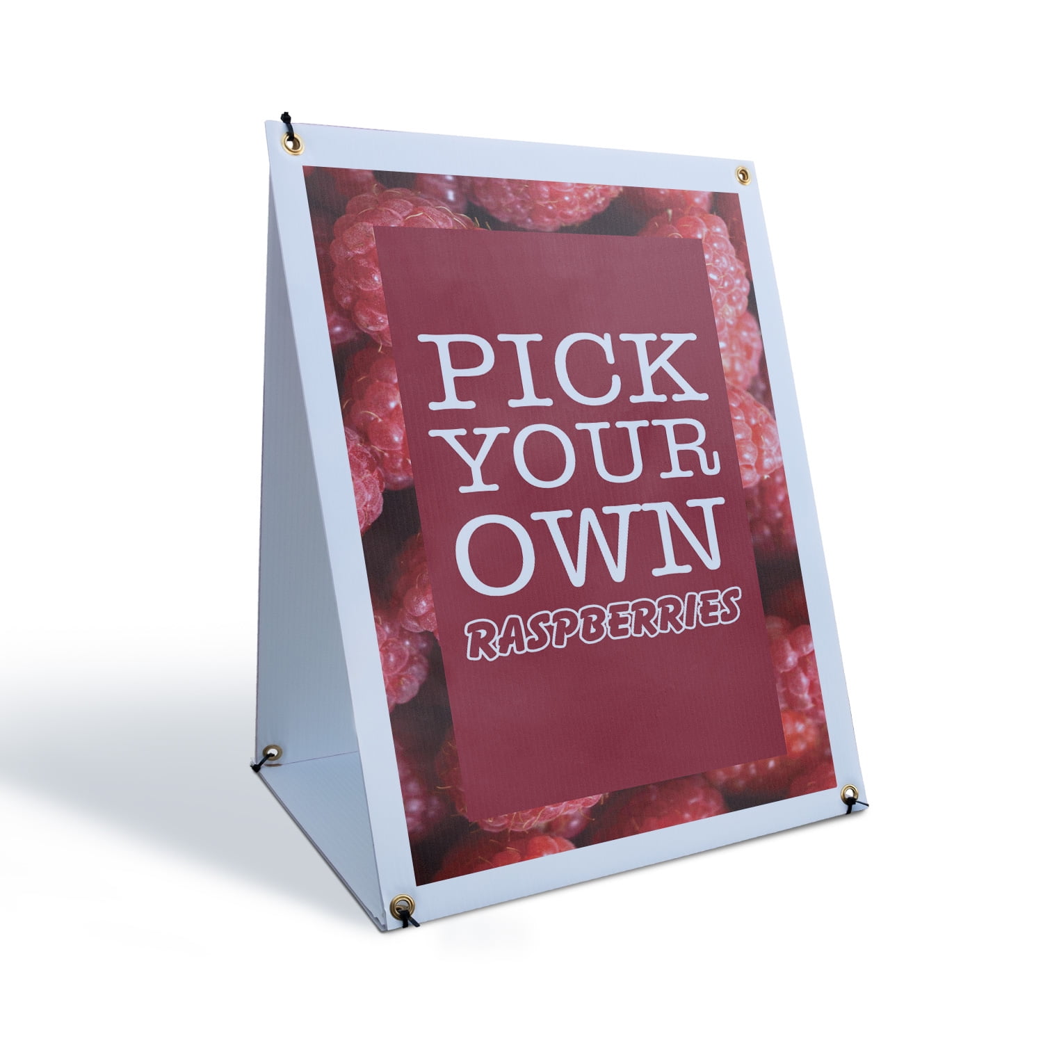 Pick Your Own Raspberries Sidewalk Sign 18 Inch x 24 Inch A-Frame ...