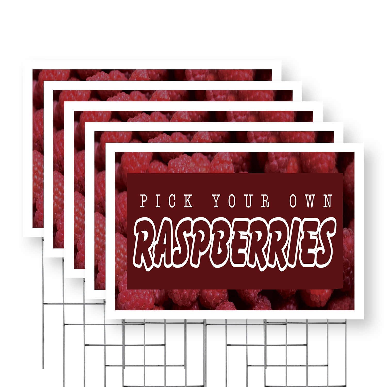 Pick Your Own Raspberries Yard Sign 5 Pack of 24 Inch x 36 Inch Single ...