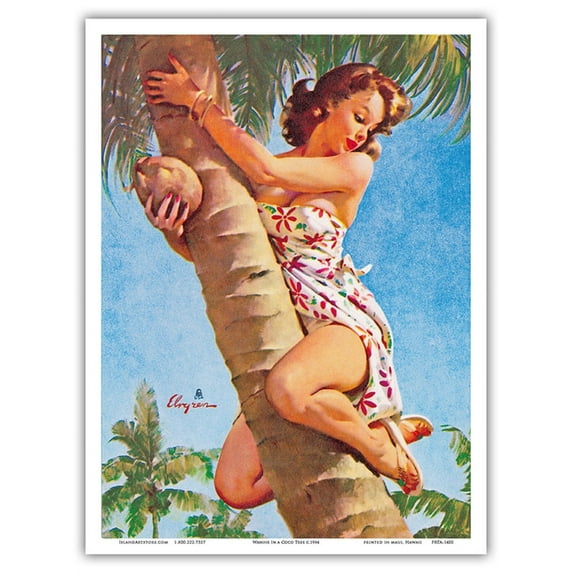 Pick of the Crop - Up a Coconut Tree - Vintage Pin Up Girl Print by Gil Elvgren c.1964 - Master Art Print (Unframed) 9in x 12in