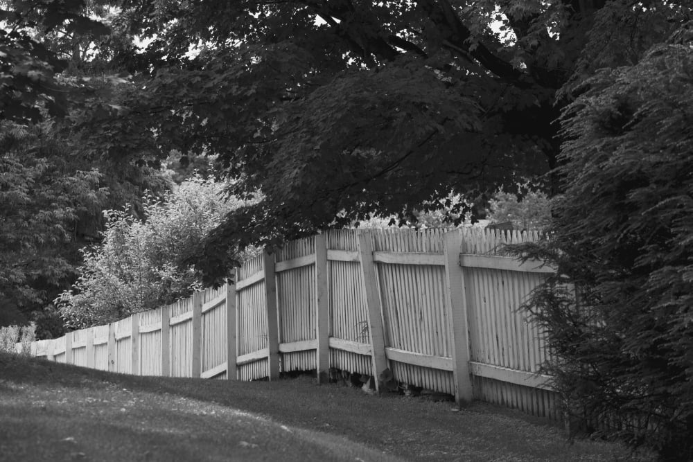 Picket fence Knowlton Quebec Canada Canvas Art - David Chapman Design Pics (38 x 24)