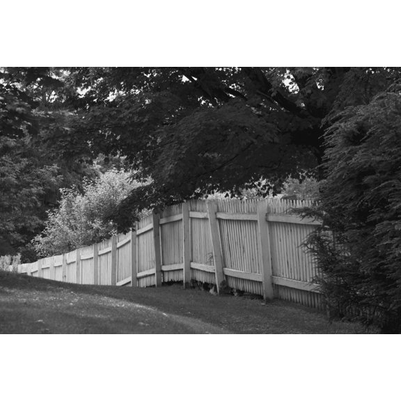 Picket fence Knowlton Quebec Canada Canvas Art - David Chapman Design Pics (38 x 24)