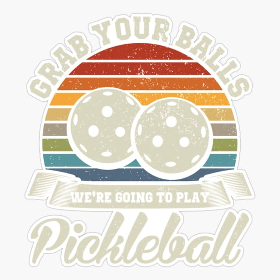 Pickleball Active Sport Everyday Decor Art Simple Style Vinyl Sticker