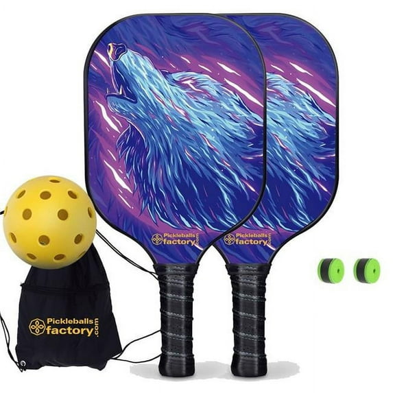 Pickleball Factory PB0001-6-G Pickleball Paddle Set, Glassfiber Graphite