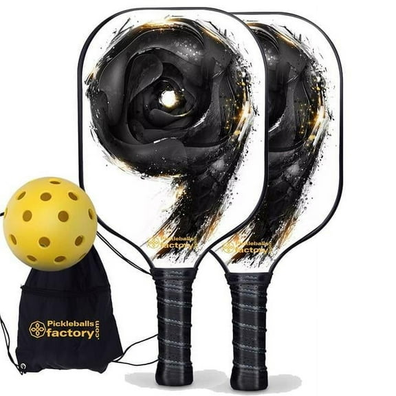Pickleball Factory PB00020-6-G Best Pickleball Set - Letter Nine Usapa Pickleball Paddles, Pickleball Racket Set, Glassfiber Graphite