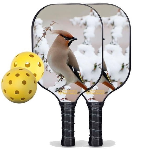 Pickleball Factory PB0004-2-C Pickleball Starter Set - Peace Bird Best Pickleball Paddle, Carbonfiber Graphite