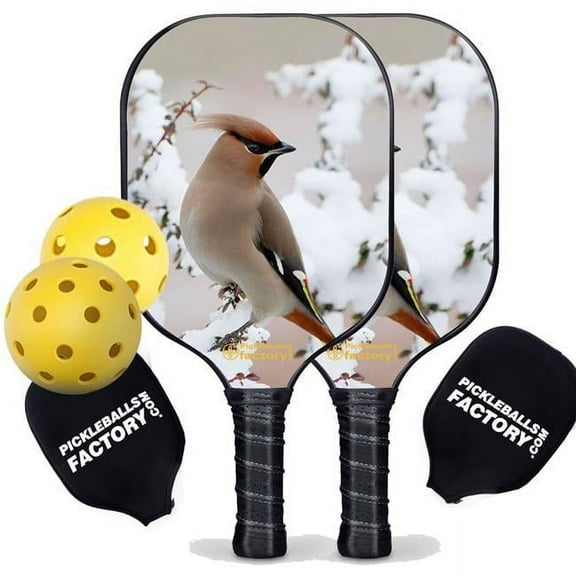 Pickleball Factory PB0004-3-G Pickleball Starter Set - Peace Bird Best Pickleball Paddle, Glassfiber Graphite