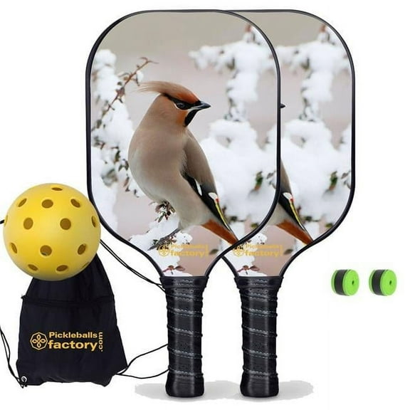 Pickleball Factory PB0004-4-G Pickleball Starter Set - Peace Bird Best Pickleball Paddle, Glassfiber Graphite