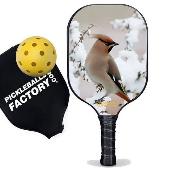 Pickleball Factory PB0004-8-G Best Pickleball Paddle - Peace Bird Outdoor Voices Pickleball, Official Pickleball Balls, Glassfiber Graphite