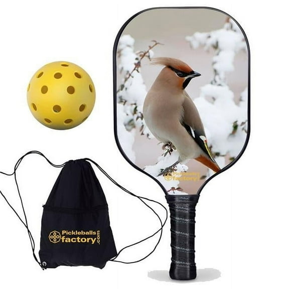 Pickleball Factory PB0004-9-G Best Pickleball Paddle - Peace Bird Outdoor Voices Pickleball, Official Pickleball Balls, Glassfiber Graphite