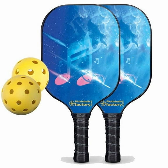 Pickleball Factory PB00051-2-C Pickleball Set - Musical Note Pickleball Paddles for Sale, Best Portable Pickleball Set, Carbonfiber Graphite