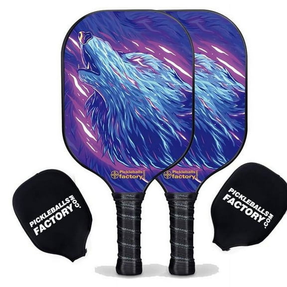 Pickleball Paddle Set, Carbonfiber Graphite