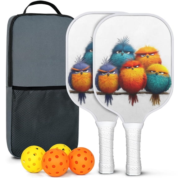 Pickleball Paddles Set Of 2, Fiberglass Surface, Unhappy Birds Print, 4 Balls & Bag
