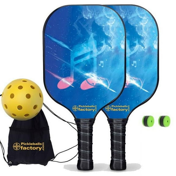 Pickleball Set - Musical Note Pickleball Paddles for Sale, Best Portable Pickleball Set, Carbonfiber Graphite