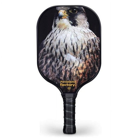 Pickleballs Factory SX0075-1 Pickleball Paddles & Near Me Now, Big Eye Hawk Paddle Athletic Pickleball Set