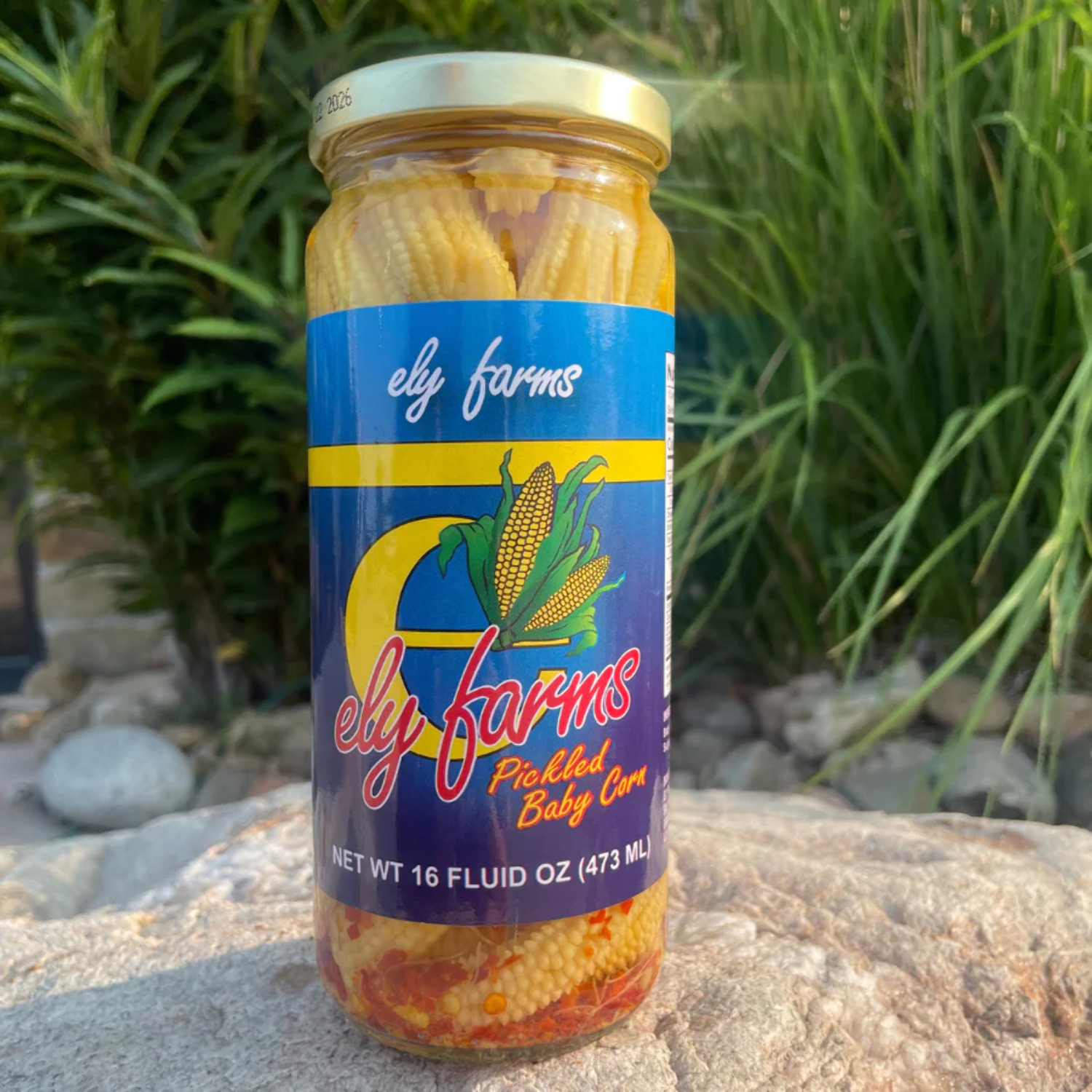 Pickled Baby Corn Sweet and Spicy Zesty Pickle Flavor Made in USA