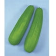thumbnail image 1 of Pickling Melon Seeds - Katsura Giant - 1 Oz ~1800 Seeds - Non-GMO, Heirloom - Asian Garden Fruit, 1 of 1