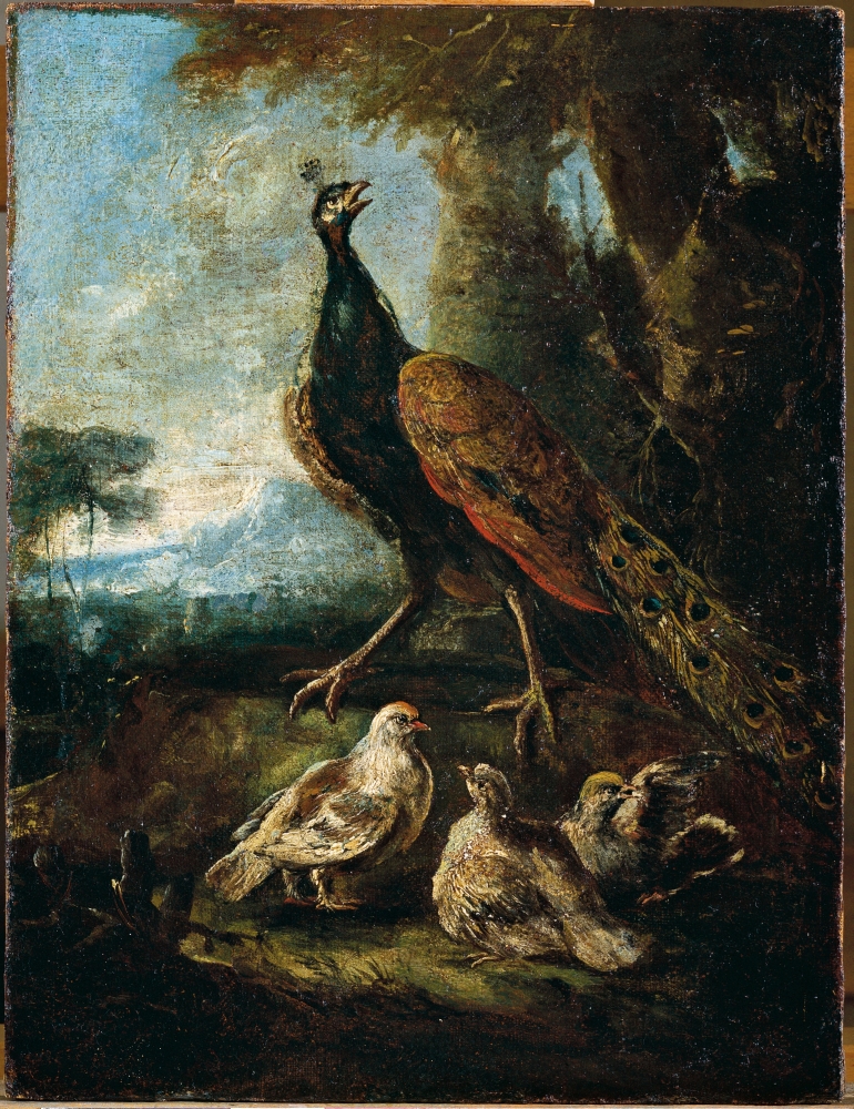 Pickock With Three Chicks Canvas Art - (24 x 36)