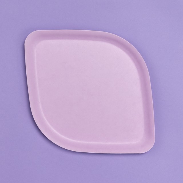 Pickytarian Purple Plates (50pcs) Eco Friendly 10 inch Disposable