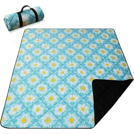 Walmart picnic mat sale
