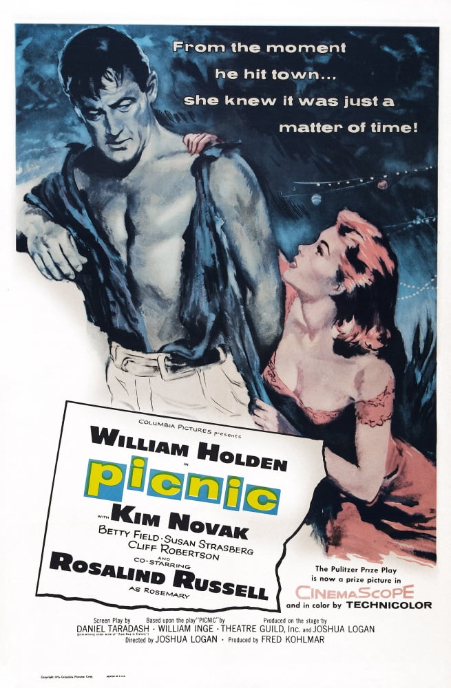 Picnic Canvas Art - (24 x 36)