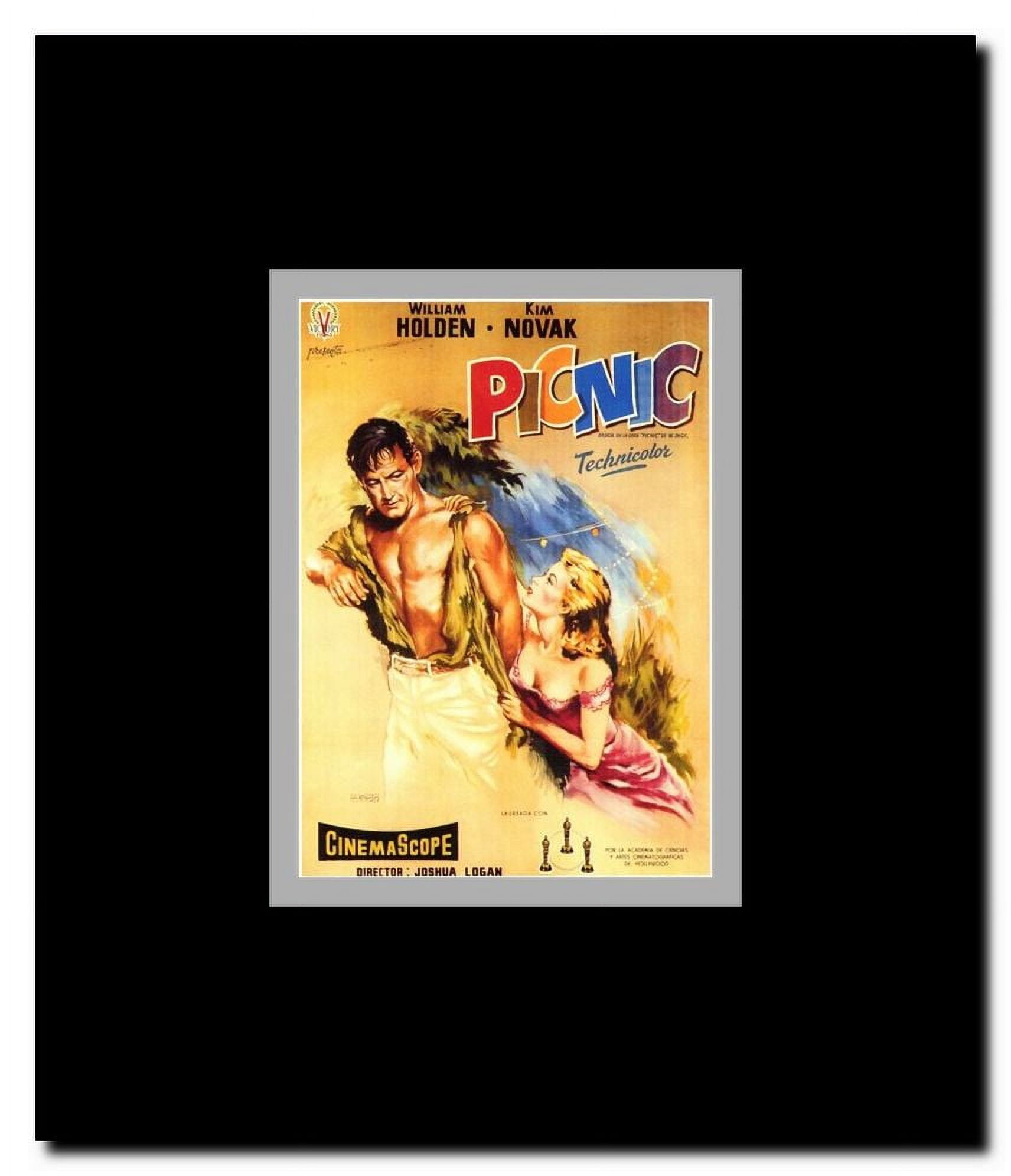 Picnic Framed Movie Poster
