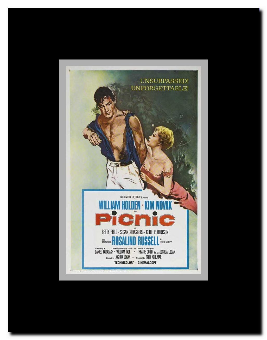 Picnic Framed Movie Poster