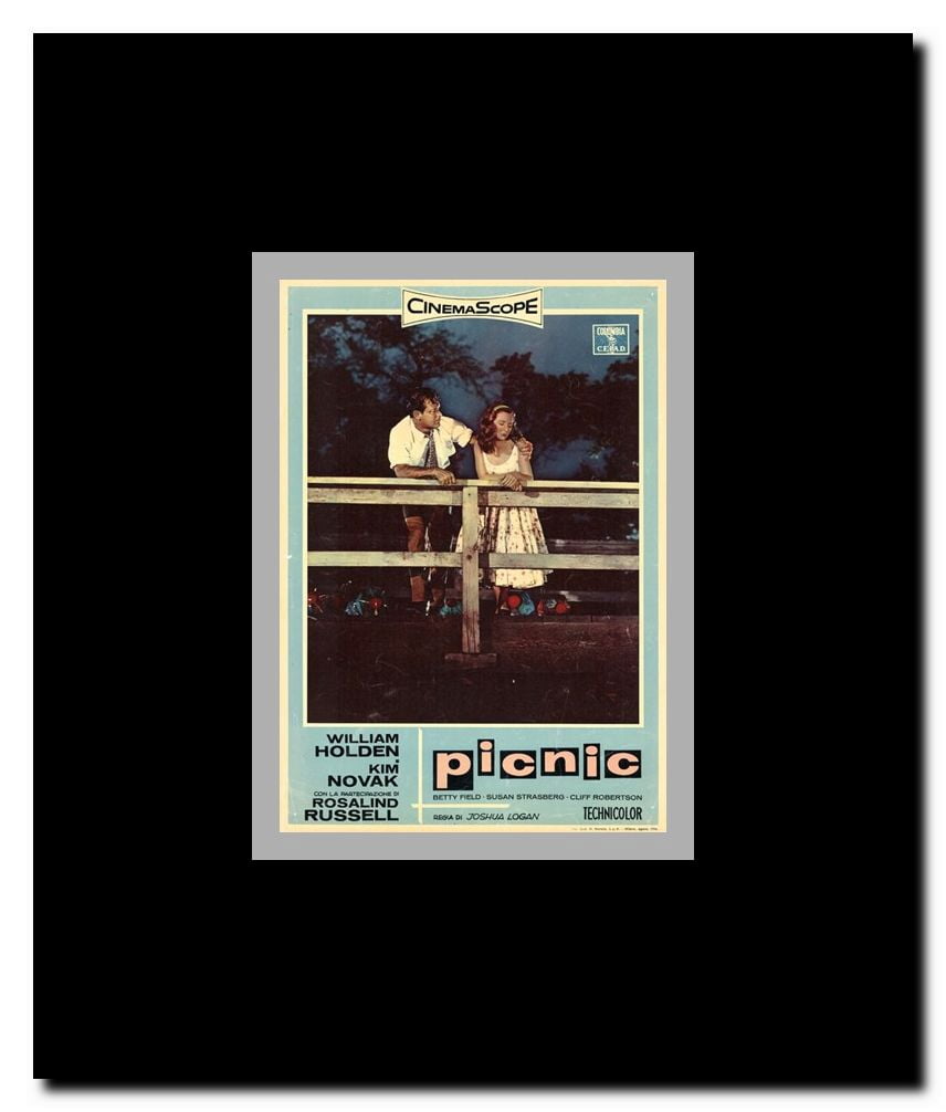 Picnic Framed Movie Poster