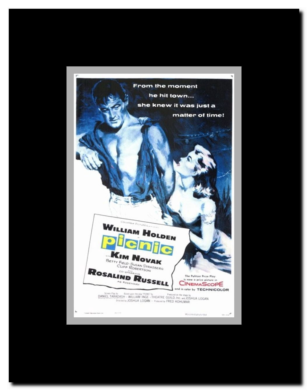 Picnic Framed Movie Poster