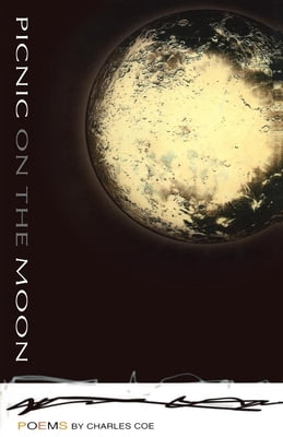 Pre-Owned Picnic on the Moon (Paperback) 0965457826 9780965457828