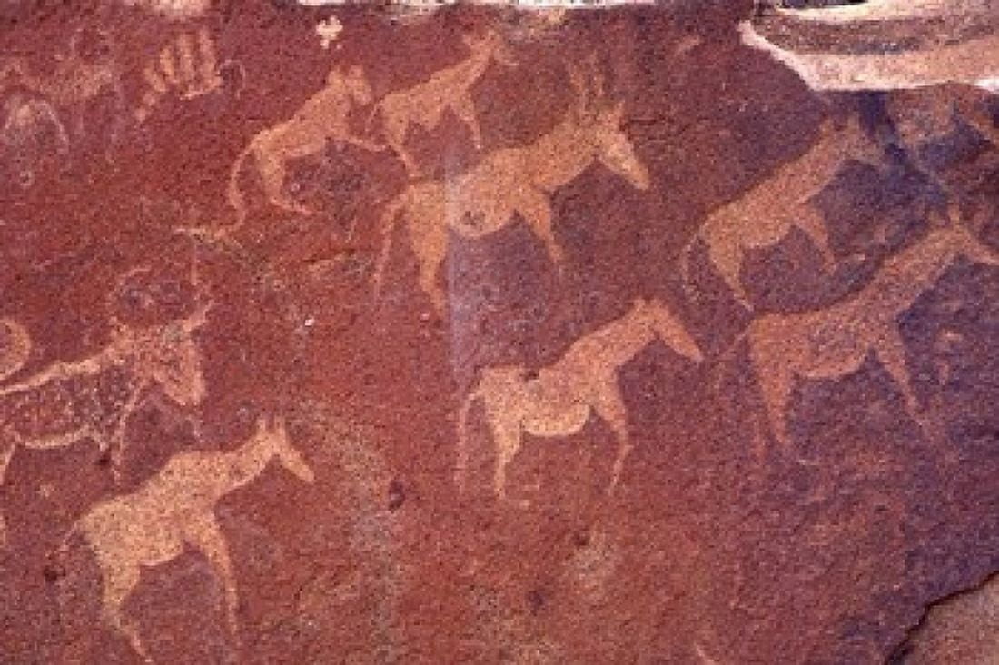 Pictograph Engravings from Stone Age Culture Twyfelfonstein Region Namibia Canvas Art - Art Wolfe  DanitaDelimont (35 x 24)