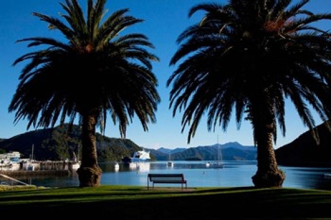 Picton Marlborough South Island New Zealand Canvas Art - Douglas Peebles DanitaDelimont (36 x 24)
