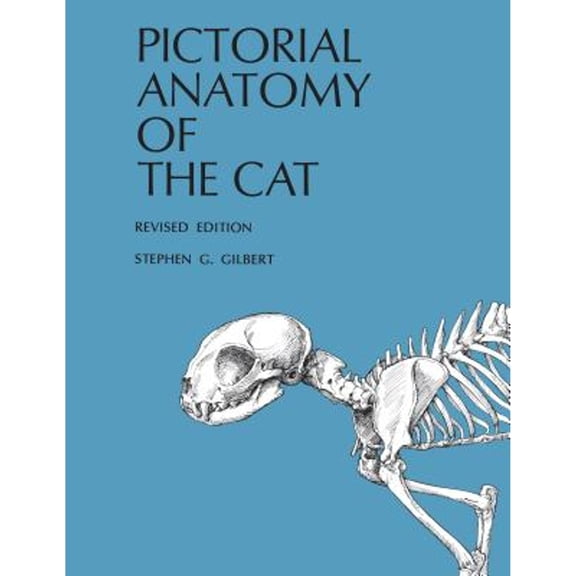 Pre-Owned Pictorial Anatomy of the Cat (Paperback) 9780295954547
