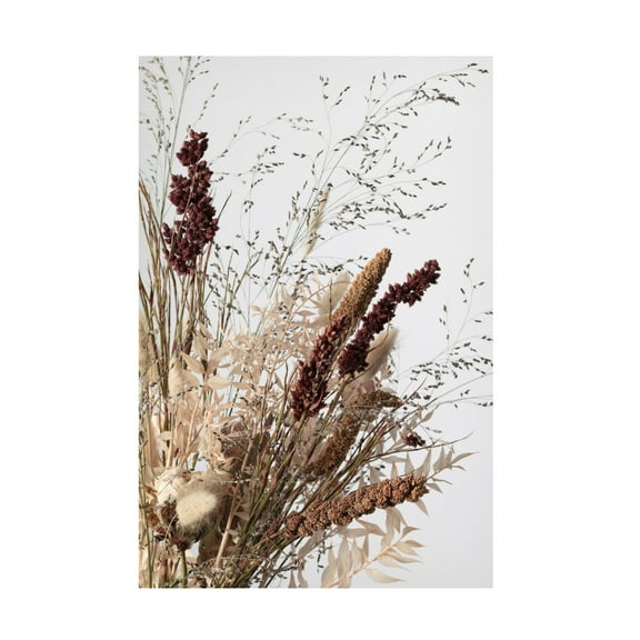 Pictufy Studio III 'Dried 1' Canvas Art - 12 x 19 Inches