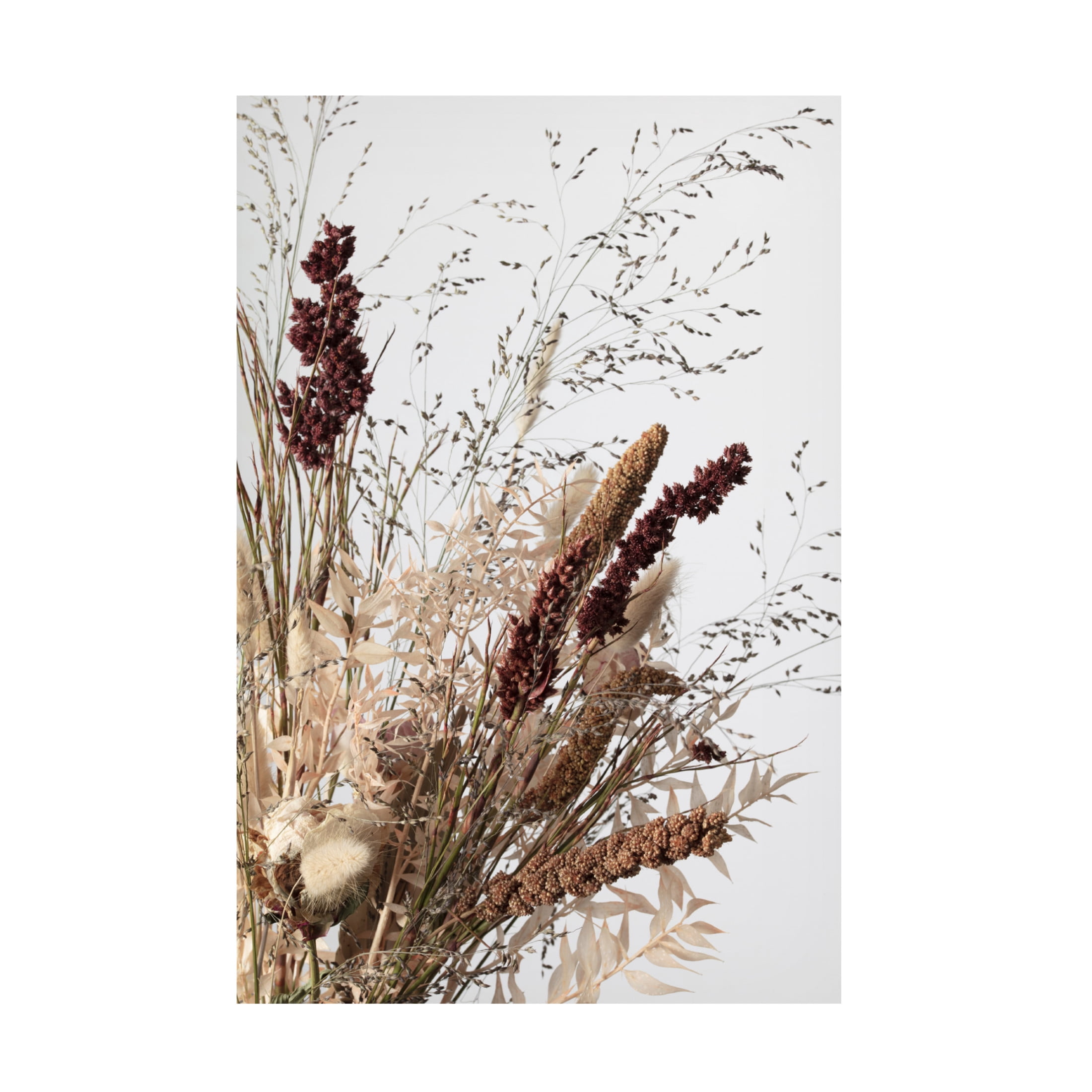 Pictufy Studio III 'Dried 1' Canvas Art - 30 x 47 Inches