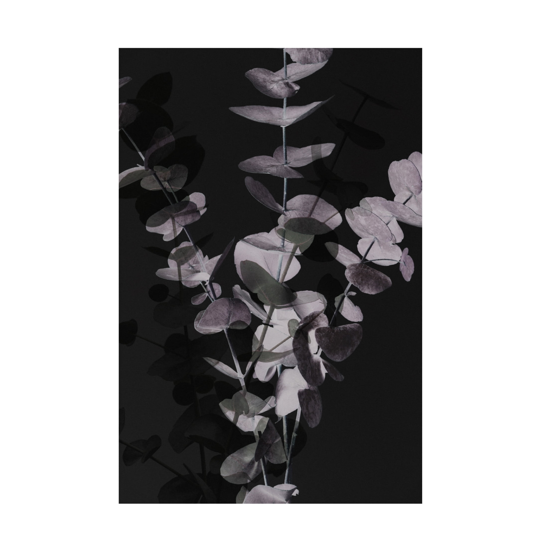 Pictufy Studio III 'Eucalyptus Negative 1' Canvas Art - 22 x 32 Inches