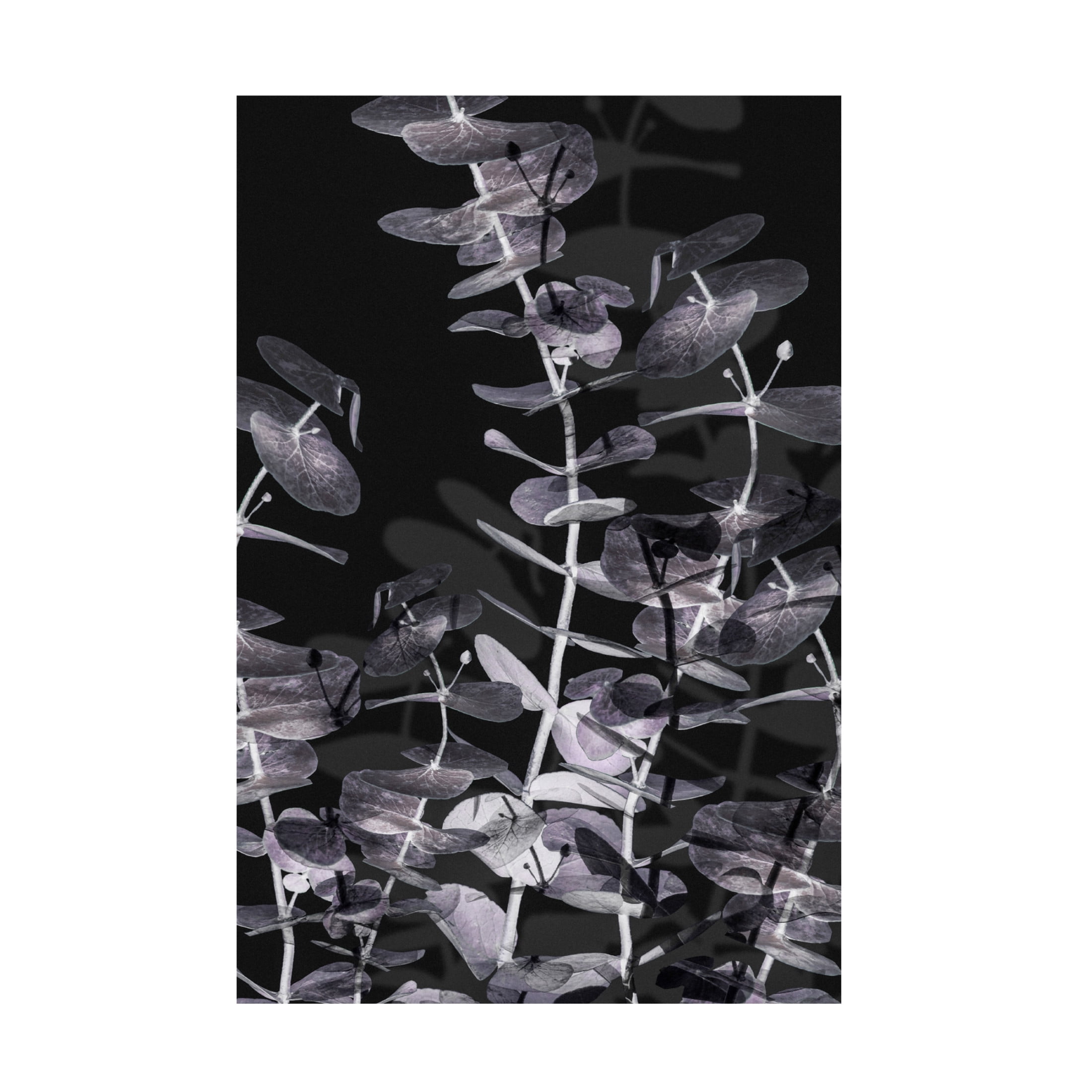 Pictufy Studio III 'Eucalyptus Negative 2' Canvas Art - 22 x 32 Inches